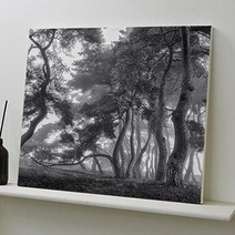 아트박스/꾸밈 bh251-캔버스액자53x45.5_흑백소나무