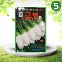 솔림텃밭몰 소형무씨앗 25g 만추대 금봉무 봄 가을용 무씨앗, 1개
