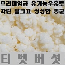 티벳버섯 케피어그레인, 10cc