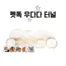 고슴도치 페럿 페릿 기니피그 프레리독 장난감 터널 펫똑 우다다터널, 3m