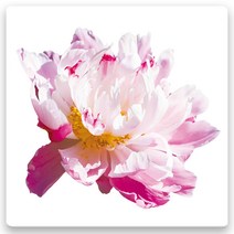 모란꽃 33종 돈들어오는 그림 한국화 캔버스액자 인테리어액자 거실액자 침실액자, 모란꽃33