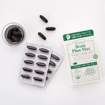 뉴트리랩스 뇌건강 인지질 브레인 포스맥스 60캡슐(1개월분), 단품, 단품