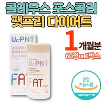 콜레우스 포스콜리 추출물 알약 정 환 포스콜린 forskolin 나이아신 30대 40대 50대 60대 중년 여성 남성 다이어트 체지방 감소, 1박스