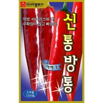 신통방통 1200립 고추 씨앗 종자 역병 바이러스 강한 수확량 많고 빠른 중대과종 태양초고추 고추파종 고추심기