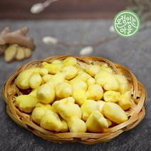 완주봉상생강 봉동 신선한 깐생강 5kg (100%탈피), 단품