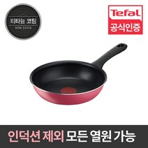 테팔 에브리데이 테이스티 후라이팬, 20cm, 1개