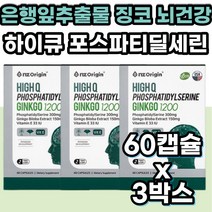 기억력영양제 은행잎 플라보놀배당체 GINKGO BILOBA 징코 혈액 환 손 발 가락 저림 혈행 건강 개선 GINKGO 건강기능식품 하이큐 인지력 뇌 건강 청소년 수험생 고등학생