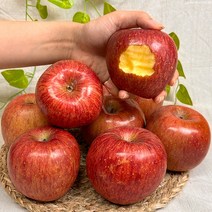 경북 햇 홍로 부사 사과 고당도 꿀사과, 2kg 소과 (10-13과), 정품 사과