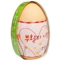 신기한 부활절 달걀 화분(작두콩 기르기)