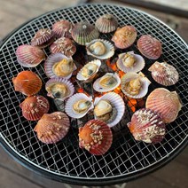 국내산 통영 홍가리비 집에서 조개구이 1kg (25미 내외) 산지직송, 홍가리비 1kg (25미 내외)