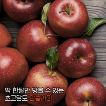 [신선하루] 딱 한달만 맛볼 수 있는 초고당도 200% 햇 감홍 사과, 1개, 감홍사과 5kg 중대과 18과내외