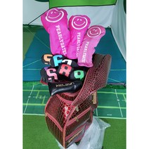 여성용 테일러메이드와 스팔딩 스틸 골프채 풀세트