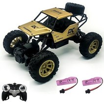 엔진RC카 전기 자동차 RC 118 4WD 원격 제어 버기 오프로드 고속 차량 장난감 선물, [14] 2b Glod
