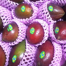 [미인과친한]브라질애플망고 8-12과4kg, 없음