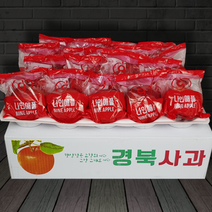 나인애플 가족/선물용 중대과 세척사과 3-10kg, 2)나인애플 세척사과 5kg