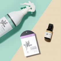 [AK PLAZA] [나무앤미] 피톤치드 편백잎수액 아로마오일 포켓방향제 세트