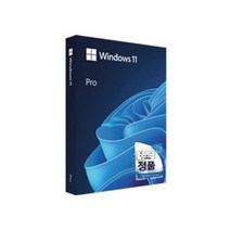 [윈도우11pro] 마이크로소프트 Windows 11 Pro FPP 한글, 단품