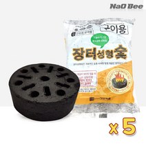 NaOBee 쉬운 즉석 점화 성형 장터숯 착화탄 5P, 2set(10개)