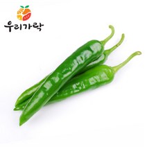 [우리가락]오이맛(아삭이)고추 10kg, 단품
