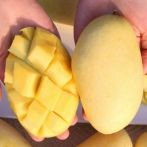 태국 남독마이 망고 골드망고 2.5kg (항공), 상세페이지 참조