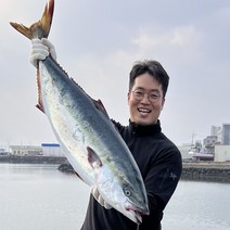 제주 마라도 방어 모슬포 대방어 특방어 필렛 손질 회 택배 국내산 자연산 제철, 8~8.8kg, 1/2마리