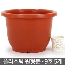 플라스틱 둥근 화분 7호 5개 - 플분 원형 중형화분 둥근화분 인테리어화분 실내화분 거실화분 베란다화분 매장화분, 04_성진_원형화분(9호) X 5개