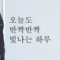 모노먼트 한글 감성 레터링 스티커 - 오늘도 반짝반짝 빛나는 하루, L-034, 검정
