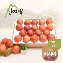 [11kg알뜰형중과] 2022햇사과 알뜰 못난이사과(중과) 4.5kg 1box 당도선별 미시마