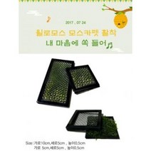 윌로모스 모스카펫활착 가로5cm 1개 (음성수초 활착 초보자)