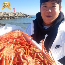 제철 대게 홍게 자숙 찜 박달 구룡포 선주직송 2kg, [신선출발]국산대게(생물or자숙찜), 박달대게 중3마리(생물)_수율90%내외, 1개