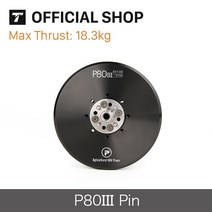 SS기 농업용 엔진분무기 살수기T-MOTOR 농업 무인 항공기 드론 브러시리스 모터, 03 P80III KV100 PIN