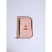 회원카드 고객관리카드 고객차트 미용실 피부과 네일샵 뷰티샵 반영구 속눈썹 A5 100page, 투명지퍼핑크타입B(결제X 잔액X)