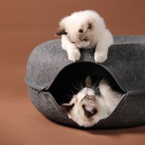 [루나글램고양이숨숨집] 루나글램 고양이 숨숨집 도넛 하우스 터널 동굴집 대형, 차콜