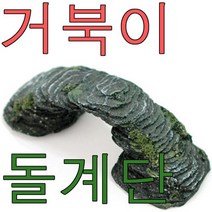 거북이 쉼터 돌다리 중 거북이 일광욕 장식 계단