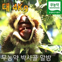 박사골 밤농원 알밤 밤, 1개, 4kg(대)