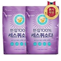 한입 한입 세스퀴 탄산소다 1KG x 2개