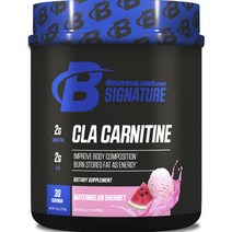 바디빌딩 CLA 카르니틴 워터멜론 샤베트 맛, 270g, 1개