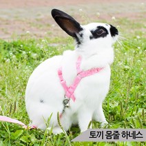 토끼몸줄 (블루/핑크) 가슴줄 하네스 리드줄포함, 핑크