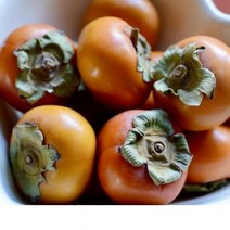 제철 창원단감 10kg 고당도 단감 아삭 달콤, 단품