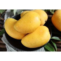 애플망고 2kg 망고먹는법 남여노소 어르신 건강식 병예방 수험생 비타민C 피로, 상세페이지 참조, 상세페이지 참조