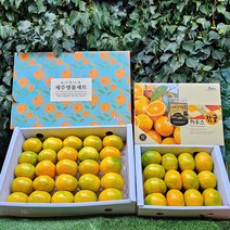 제주 고당도 하우스 감귤, 1.5kg 선물용, 1개