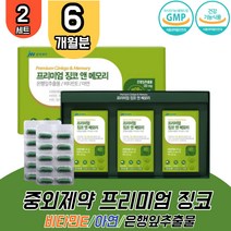 대용량 은행잎추출물 징코 2세트 포스파티 포스타 딜세린 비타민E 아연 기억력 인지력 혈행 개선 두뇌 영양제 은행엽 효능 고3 수험생 청소년 부모님 할머니 ginko GINKGO