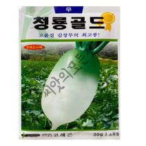 김장무 씨앗 청룡골드 가을무 30g 약2000립 코레곤