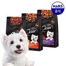 시저 건사료 야채가 곁들여진 칠면조 고기 1kgx2개, 1kg x 2개 x 칠면조, 단품