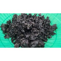 자연산곰버섯 500g~5kg, 1개, 5kg