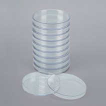패트리디쉬(PVC), B형