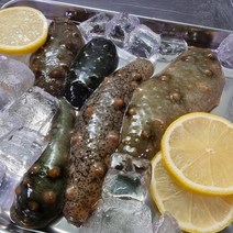 산지직송 자연산 해삼 1kg 활해삼 해삼회, 1개
