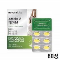 테아닌 감태 홍경천 추출물 효능 스트레스 L-테아닌 비타민 미네랄 60정 2통