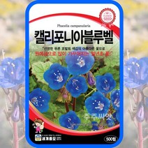 캘리포니아블루벨 씨앗 300립 네모필라 계 파셀리아 꽃씨몰 Desertbells, 단품