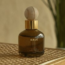 BASK 듀얼퍼포즈 실내겸용 차량용 디퓨저 100ml 본품, 블랙로즈, 1개